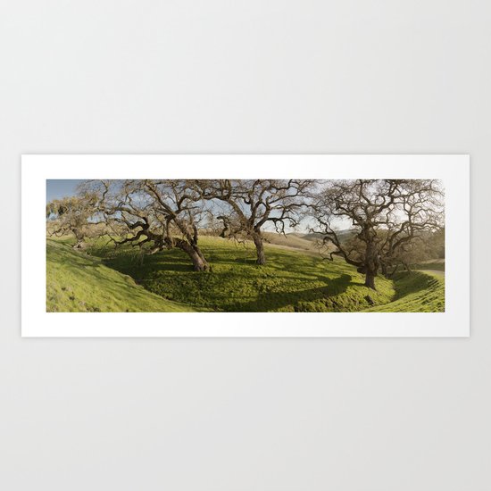 Oak Ridge Art Print