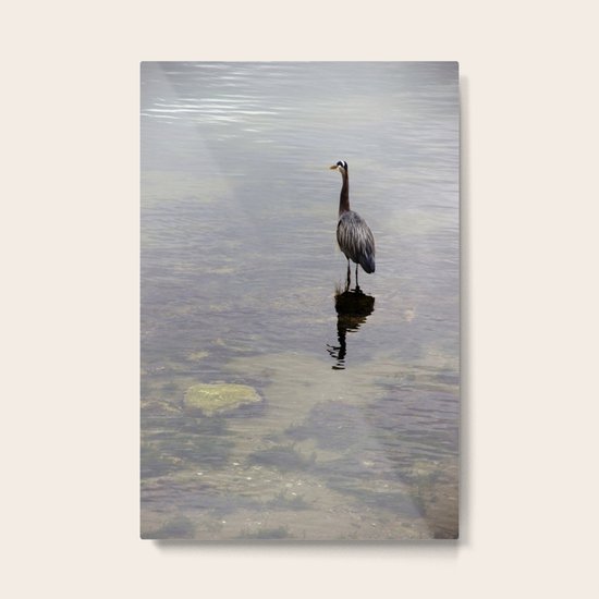 Waiting Metal Print