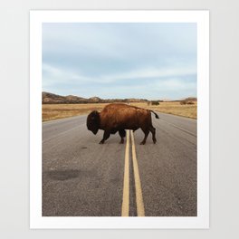Bison Crossing Road Art Print