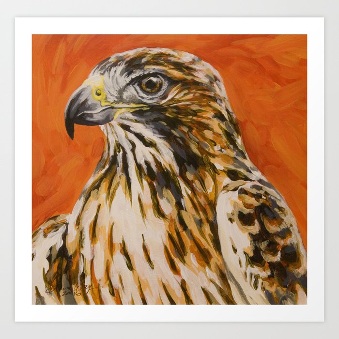 red tail hawk art