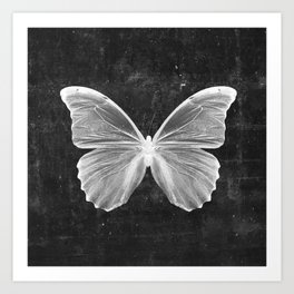 Butterfly in Black Art Print