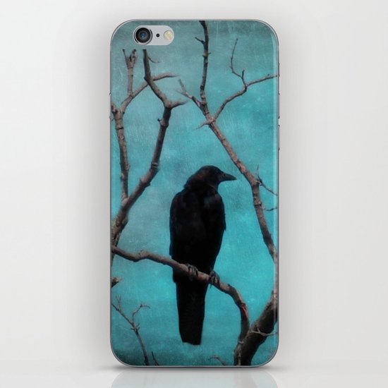Aqua iPhone & iPod Skin