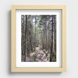Wooded Trail Recessed Framed Print
