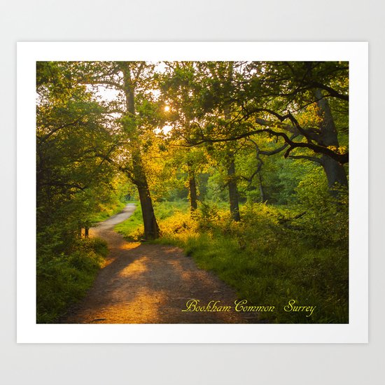 Bookham Common Art Print