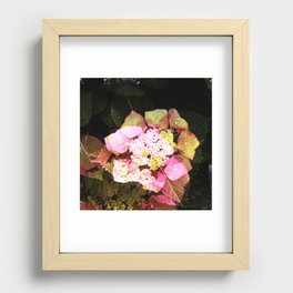 flower2 Recessed Framed Print