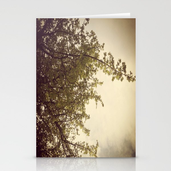 Sunlight & Branches Stationery Cards