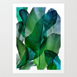 Palm leaf jungle Bali banana palm frond greens Kunstdrucke