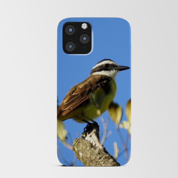 Great kiskadee iPhone Card Case