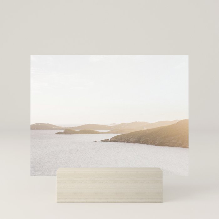 Mini Art Print