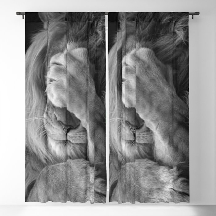 Blackout Curtain