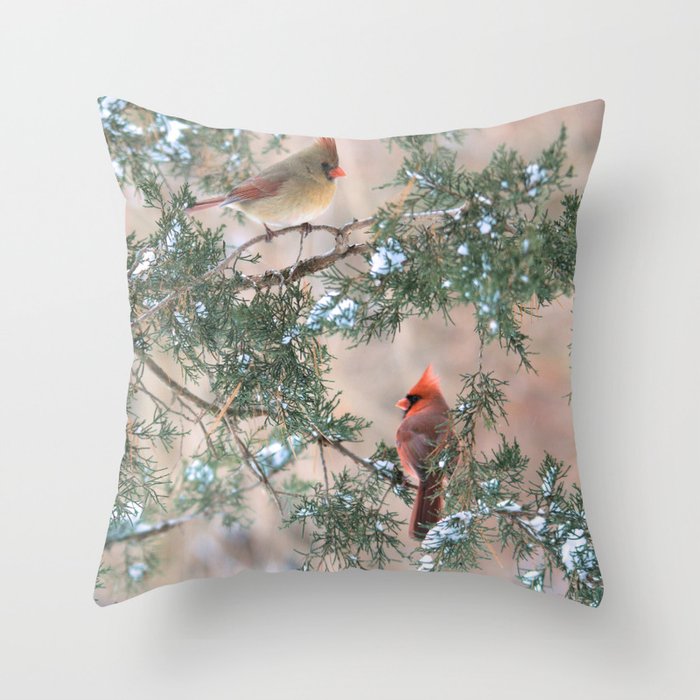Winter Pair Cardinals Sq Throw Pillow By Nancyacarter Society6