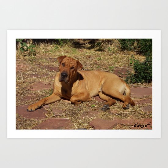 "Born Free" from the photo series, "My dog, PLaY-DoH" Art Print