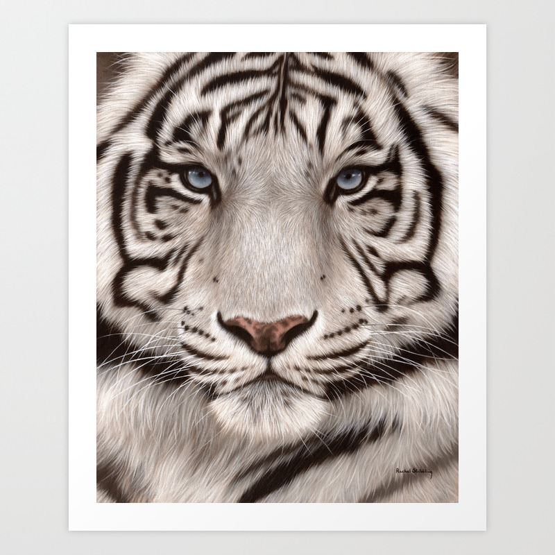 White Tiger Painting Art Print By Rachelstribb Society6