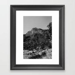 mountain in the forest at Zion national park Utah USA in black and white Framed Art Print