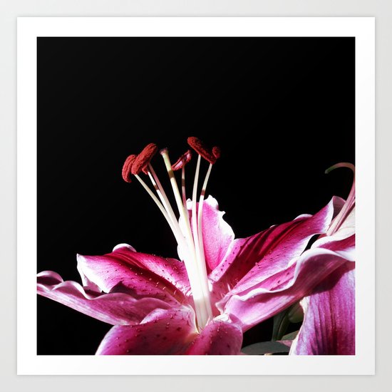 Morning's First Light Art Print
