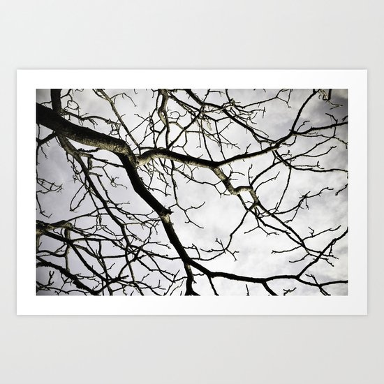 Branch Out Art Print