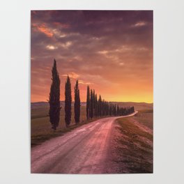 Cypress tree lined road in the countryside of Tuscany, Italy Poster