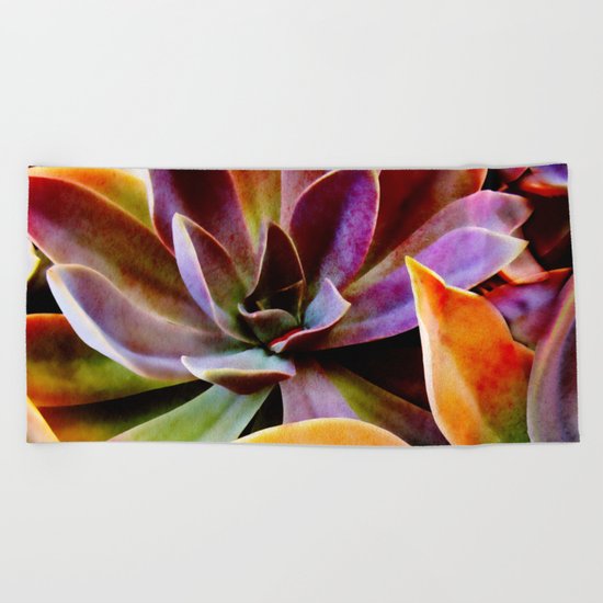 Spectacular Succulents Beach Towel