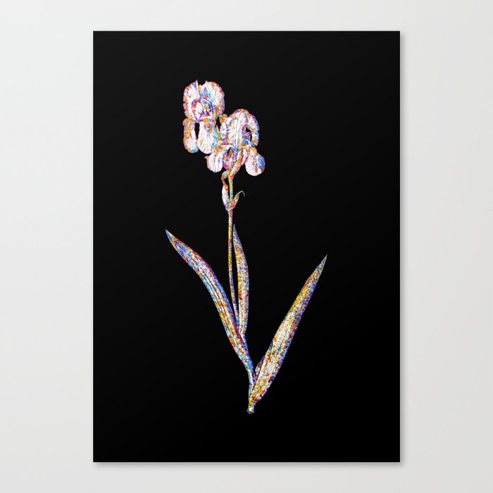 Floral Tall Bearded Iris Mosaic on Black Canvas Print