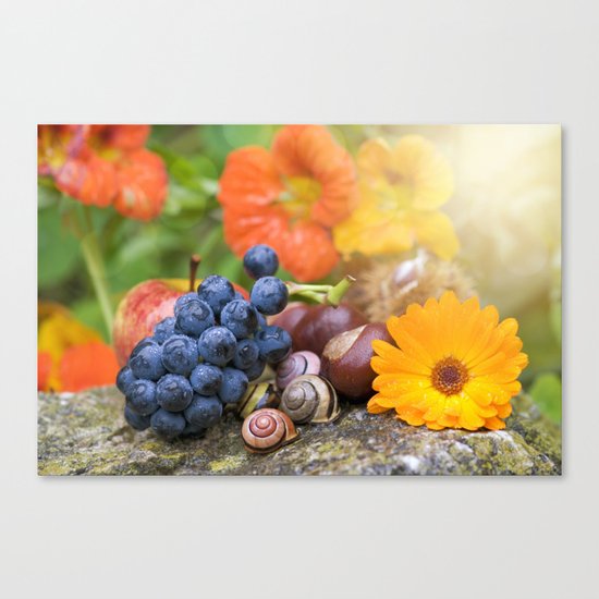 Lovely Autumn Fruits and Flowers in warm Sunlight Canvas Print