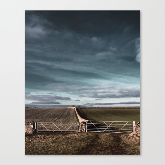 ways to make it through the wall... Canvas Print
