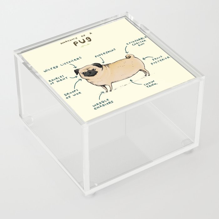 Anatomy of a Pug Acrylic Box
