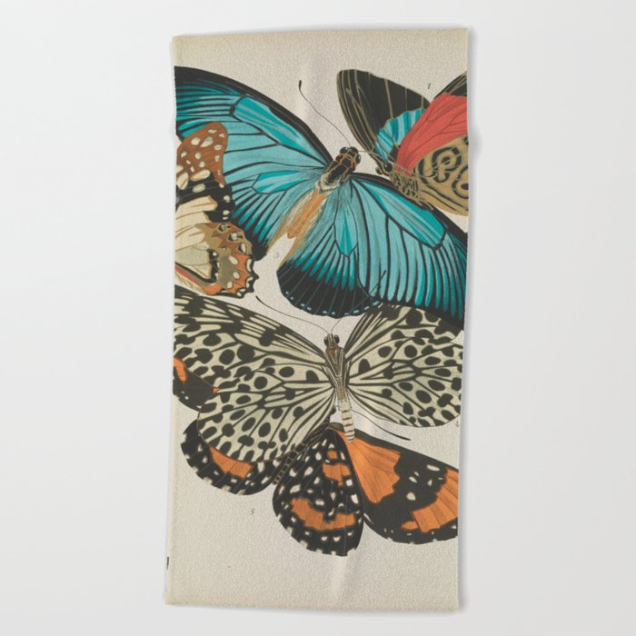E.A.Séguy - Papillons / Butterflies (1925) Plate 11 Beach Towel