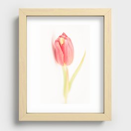 Tulips_01 Recessed Framed Print