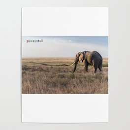 THE ELEPHANT Poster