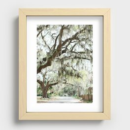Southern Spanish Moss Recessed Framed Print