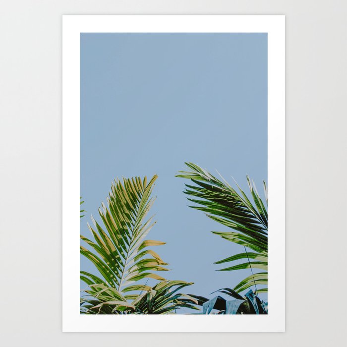 tropical palm leaves xxiii Art Print