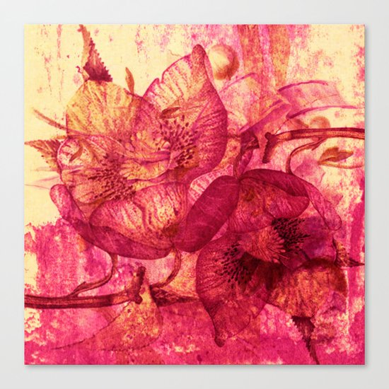 Hellebore Canvas Print