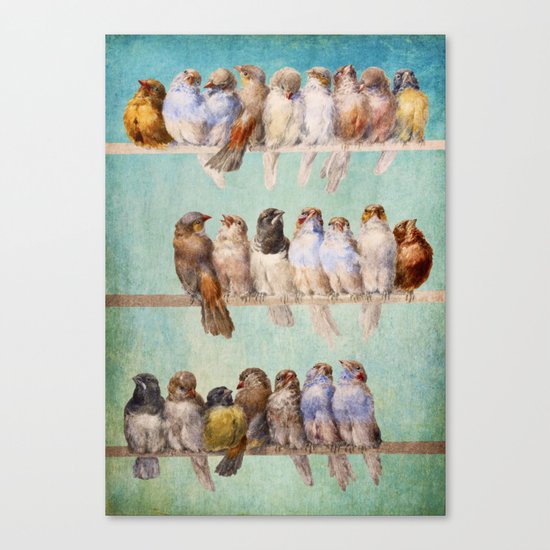 Birds Birds Birds Canvas Print
