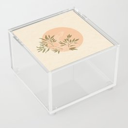 Desert Snake  Acrylic Box