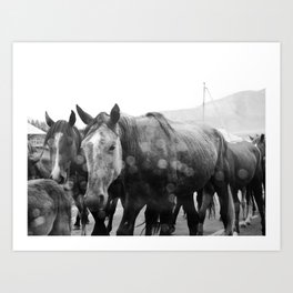 Horse rain animal street | Black-white mountain | Travel poetic photography adventure wanderlust Art Print