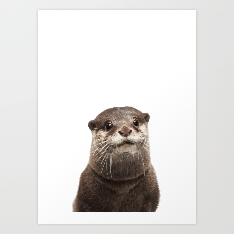 Baby Otter Art Print By Lotus Print Studio Society6