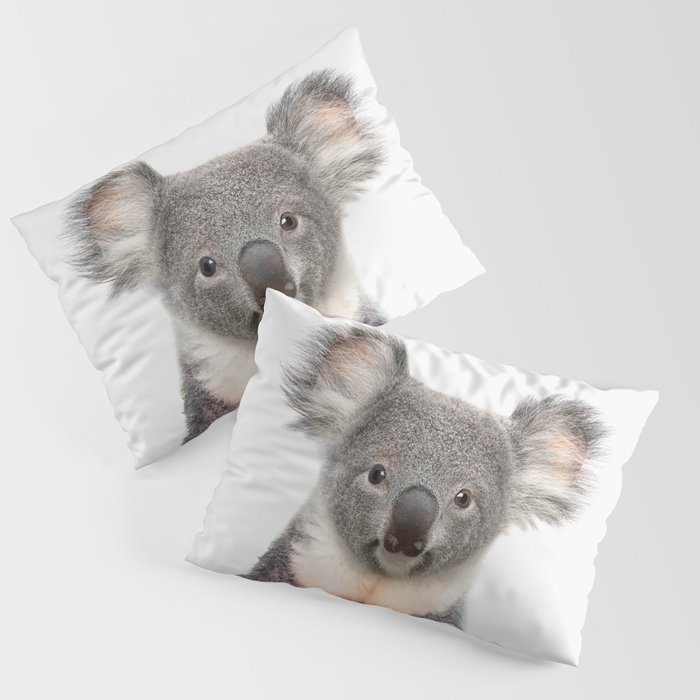 Koala pillow shop