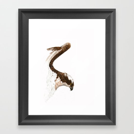 Osprey Framed Art Print