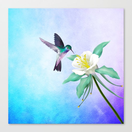 hummingbird. Canvas Print