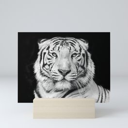 Black and white macro face portrait of white bengal tiger Mini Art Print
