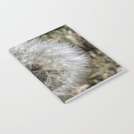 close up dandelion flower Notebook