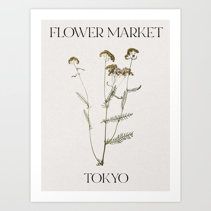 Flower market Tokyo, Pressed flowers, Dried flowers, Botanical