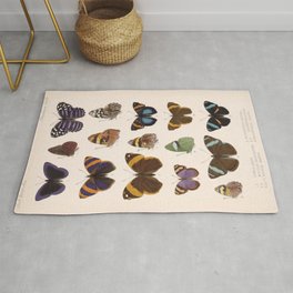 Vintage Hand Drawn Scientific Illustration Insects Butterfly Anatomy Colorful Wings Rug