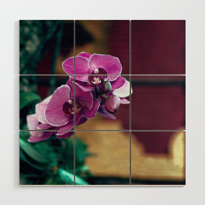 Pink Orchid Blooming In An Buddhist  Wood Wall Art