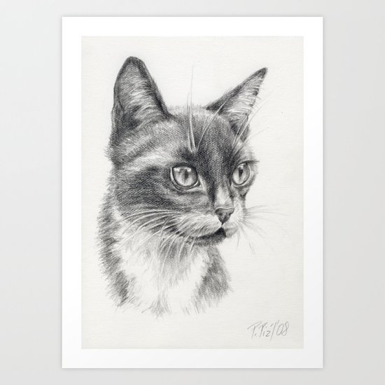 Black Cat Portrait Black White Graphite Pencil Drawing Art Print
