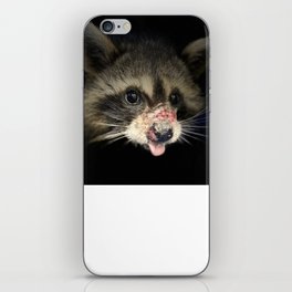 Tonka the Raccoon  iPhone Skin