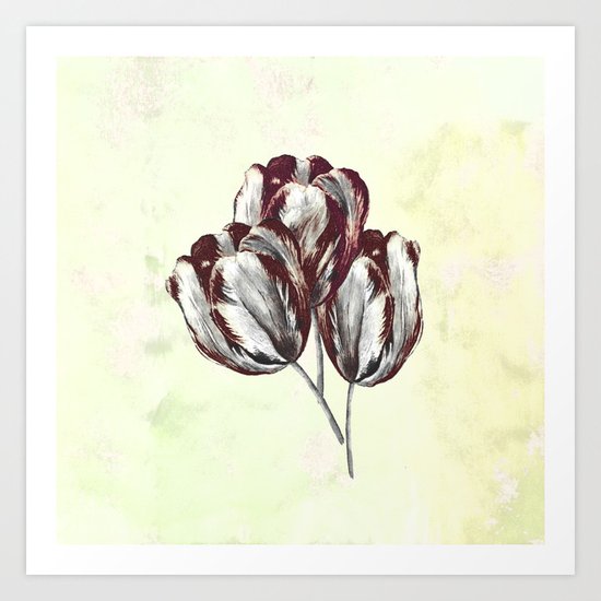 The vivid tulips eat my oxygen. Art Print
