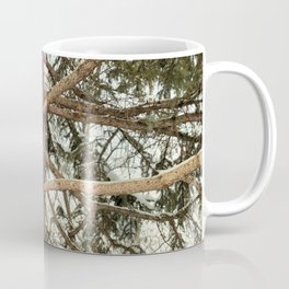 Blue Spruce Up Close Mug