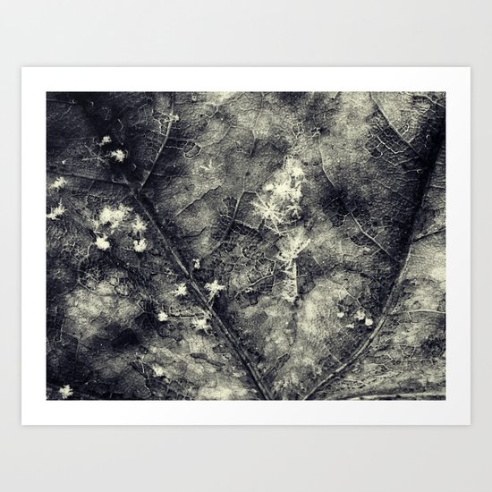 snowflakes Art Print