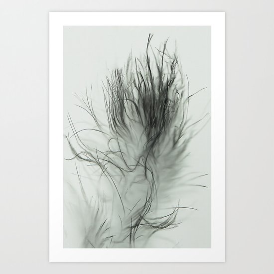 Fluffy Tails. Art Print